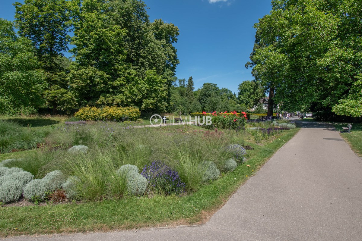 Enfield Town Park Location